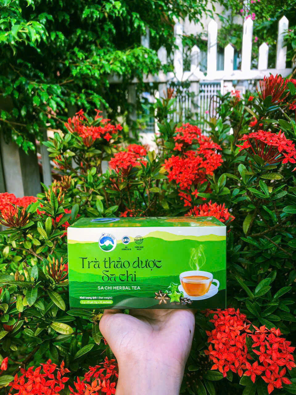 Trà thảo dược Sachi