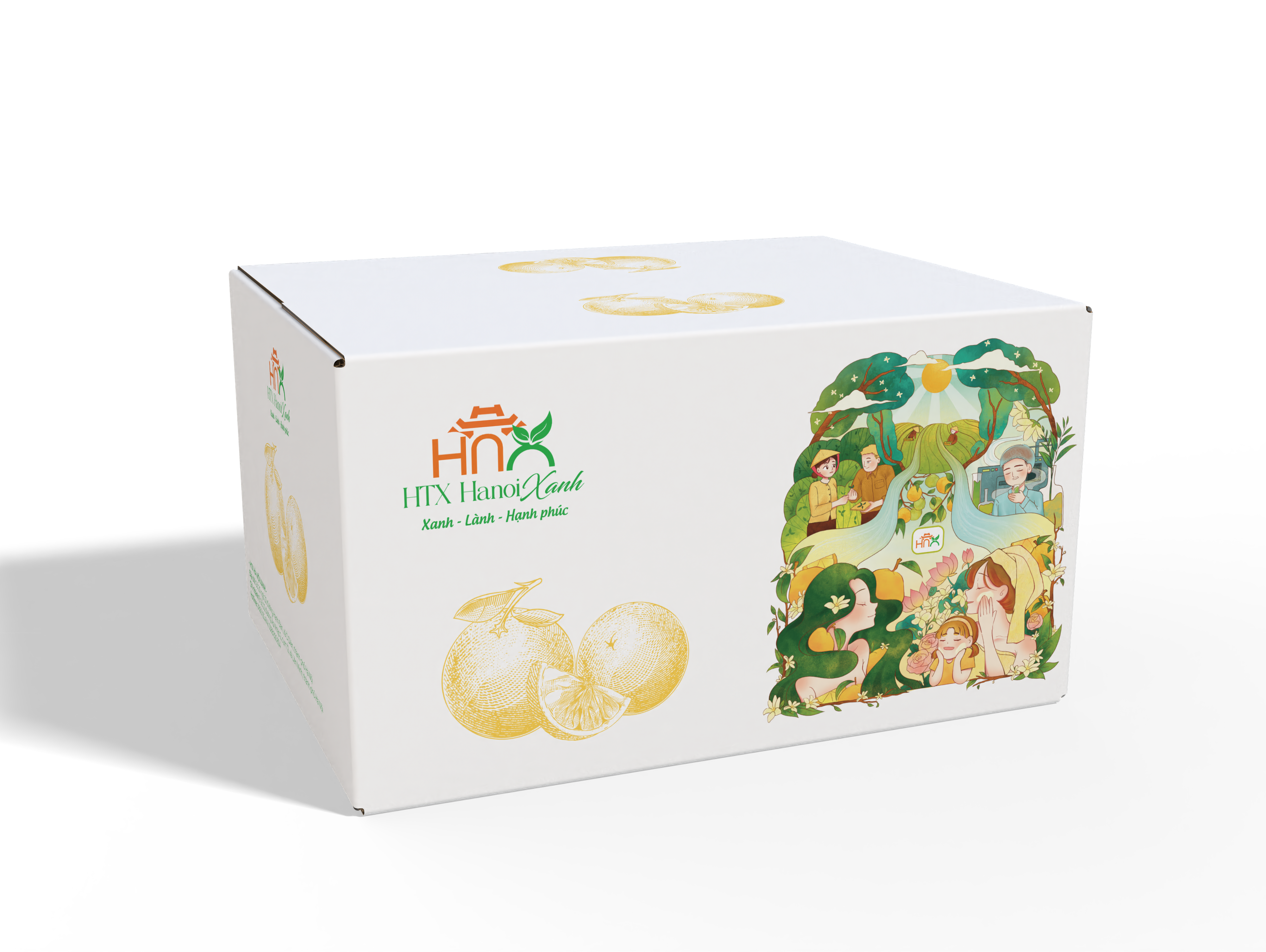 Hộp quà bưởi Bưởi Diễn size VIP chính gốc, hộp 6 quả (Tặng 1 chai bao sái)