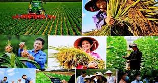 Chính sách hỗ trợ phụ nữ nông thôn năm 2023