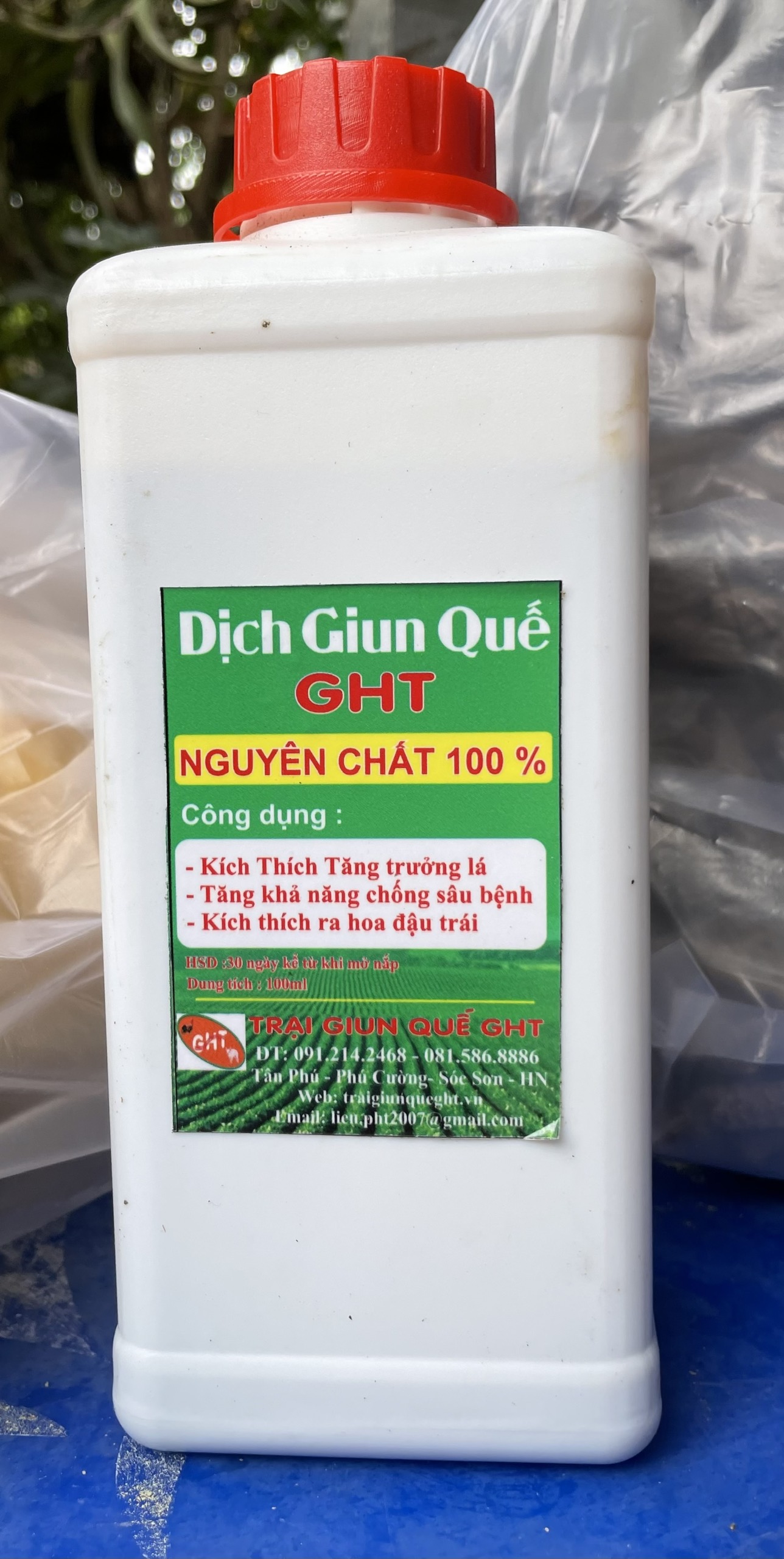 Dịch giun quế nguyên chất GHT