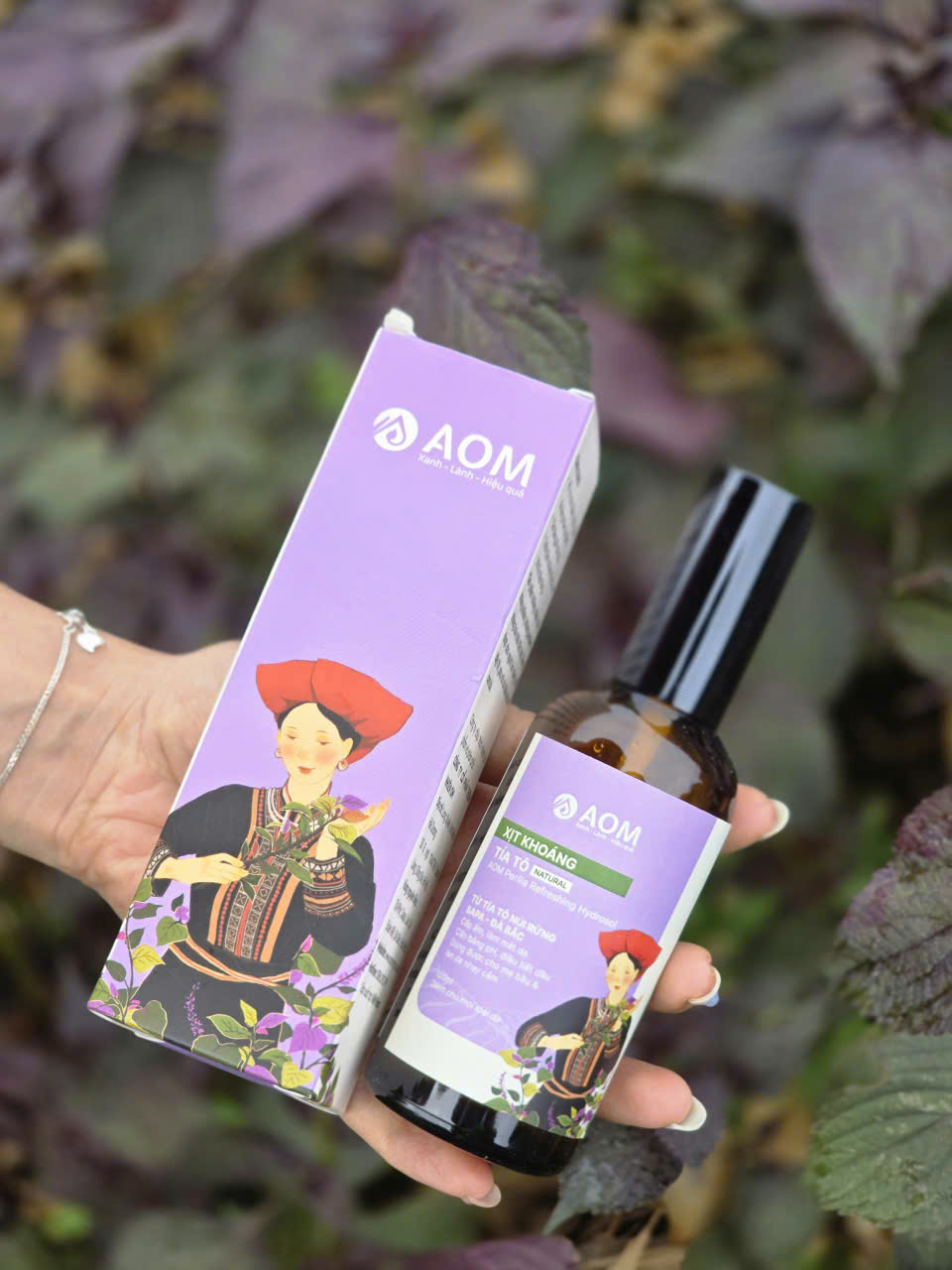 Xịt khoáng tía tô