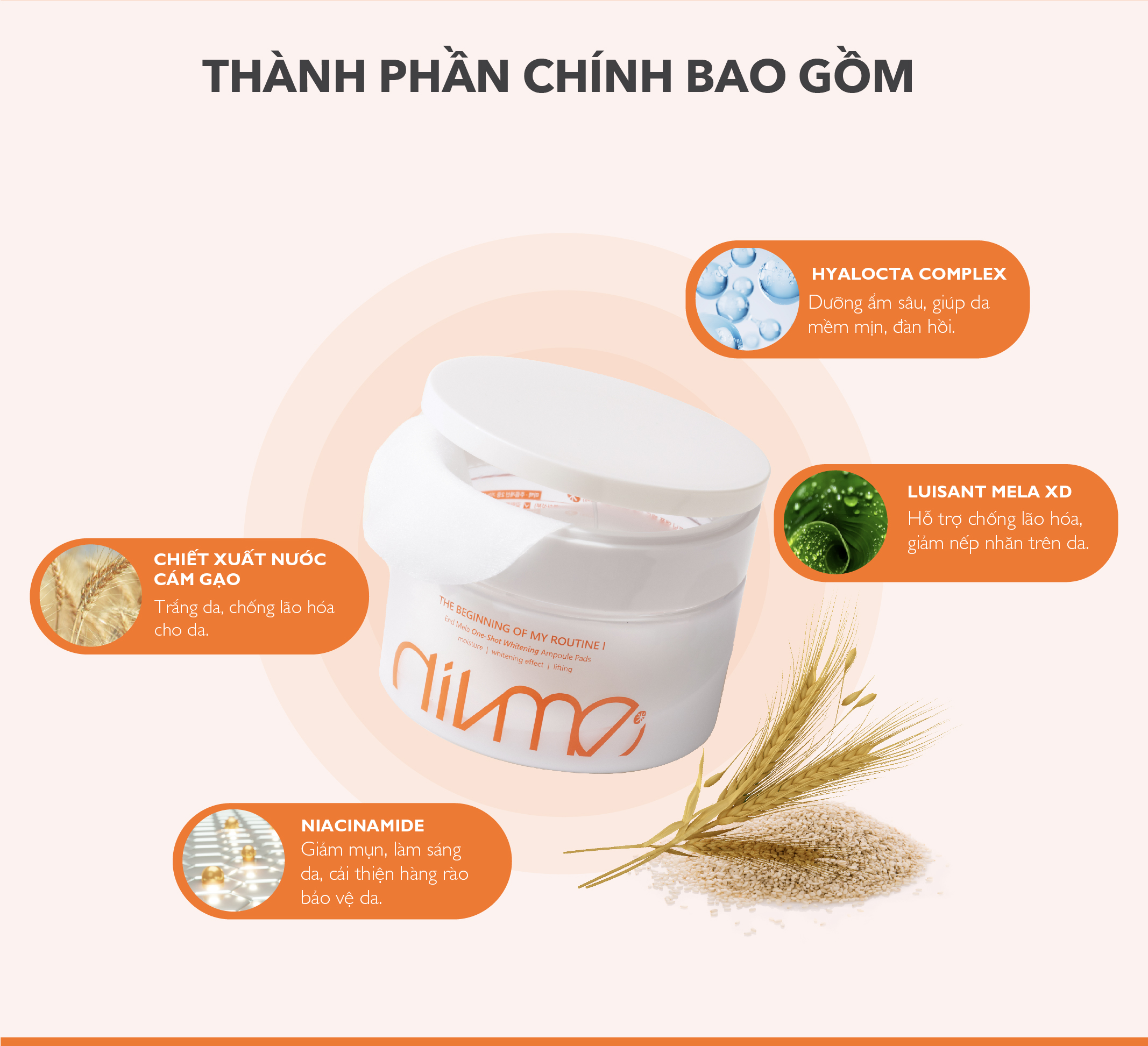 Tinh Chất Dưỡng Divme Giúp Trắng Sáng Da, Làm Đều Màu Da và Dưỡng Ẩm Cho Da 180ml (70 miếng)